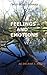 Self is Necessary - Feelings and Emotion