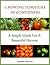 Growing Tomatoes In Containers