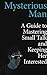 Mysterious Man: A Guide to Mastering Small Talk and Keeping Her Interested from the Get Go.