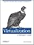 Virtualization: A Manager's Guide: Big Picture of the Who, What, and Where of Virtualization