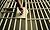 How To Get Out Of Prison - ...