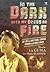 In the Dark with my Dress on Fire by Blanche la Guma