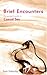 Brief Encounters - The Women's Guide to Casual Sex