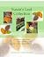 Susan's Leaf Crochet Patter...