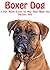 Boxer Dog - A Fun Facts Guide on Why They Make the Perfect Pet!