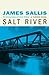 Salt River by James Sallis