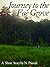 Journey to the Fae Grove: A Short Story