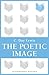The Poetic Image (Bloomsbury Reader)
