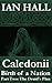 Caledonii: Birth of a Celtic Nation 2: The Druid's Plan