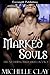 Marked Souls (The Netherworld Series Book 1)