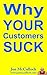 Why Your Clients Suck: How to attract the best clients and make more money with less work, less hassle and fewer headaches (Business Supremacy Bullets Book 2)