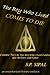 The Boy Who Lived Comes to Die: A Literary Analysis of the Final Chapter of Harry Potter and the Deathly Hallows (The Boy Who Lived Guides for Writers and Fans Book 2)