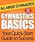 Gymnastics Basics: All About Gymnastics