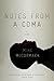 Notes from a Coma