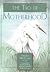 The Tao of Motherhood (Family & Childcare)
