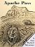 Apache Pass -A Post Civil War Adventure (The Adventures of Gun Hackett)