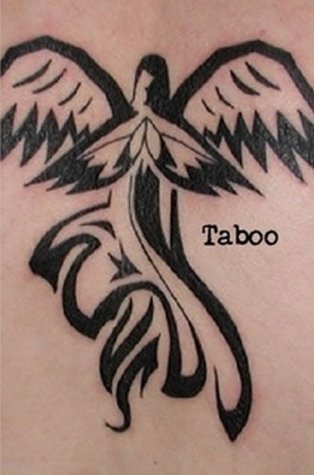 Taboo: Breaking the Rules in Christian Fiction? (Kindle Edition)