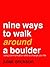 Nine Ways to Walk Around a ...