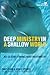 Deep Ministry in a Shallow World: Not-So-Secret Findings about Youth Ministry (Youth Specialties (Paperback))