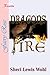 Dragon's Fire