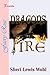 Dragon's Fire