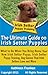 Irish Setter Puppy Training: The Ultimate Guide on Irish Setter Puppies, What to Do When You Bring Home Your New Irish Setter Puppy