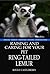 Raising And Caring For Your Pet Ring-tailed Lemur