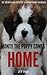 Monty the puppy comes home (St Bernard Puppy Adventure Series Book 1)