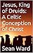 Jesus, King of Druids: A Celtic Conception of Christ