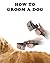 How to Groom a Dog