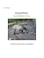Hunting Wild Boar (On Hunti...