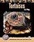 Tortoises (Complete Herp Care)