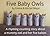 Five Baby Owls