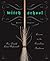 Witch School First Degree by Donald Lewis-Highcorrell