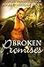 Broken Promises (FBI Guys Book 2)