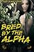 Bred by the Alpha (Werewolf Erotica)