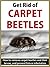 Get Rid of Carpet Beetles: ...