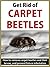 Get Rid of Carpet Beetles: How to remove carpet beetles and their larvae, and prevent future infestation
