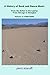 A History of Rock and Dance Music Vol 2 by Piero Scaruffi