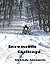 Snowmobile Challenge: A Winter Sports Novel