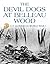 The Devil Dogs at Belleau Wood by R.D. Camp
