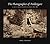 The Photographer of Penllergare by Noel Chanan