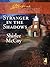 Stranger in the Shadows (The Lakeview Series, #6)