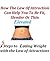 How The Law Of Attraction Can Help You To Be Fit, Slender Or Thin - Elevated (LOA Book 11)