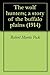 The Wolf Hunters; A Story of the Buffalo Plains