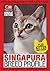 Singapura Breed Profile (Your Cat Magazine Breed Profiles Book 28)
