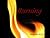 Burning: the Story of the T...