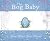 The Bog Baby by Jeanne Willis