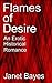 Flames of Desire: An Erotic Historical Romance