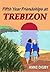 Fifth Year Friendships at Trebizon by Anne Digby
